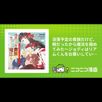 没落予定の貴族だけど、暇だったから魔法を極めてみた～ジョ...