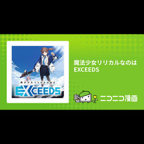 魔法少女リリカルなのは EXCEEDS